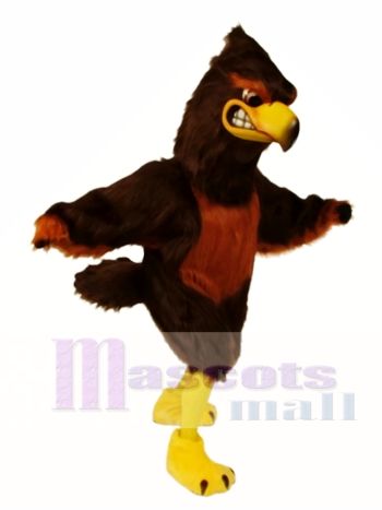 Niedlich Majestätisch Falke Maskottchen Kostüm