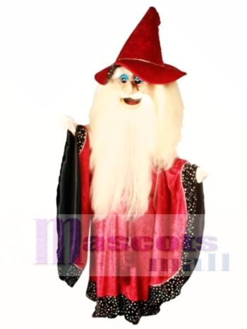 Merlin Magier Maskottchen Kostüm Menschen