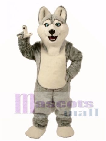 Nettes Husky Maskottchen Kostüm