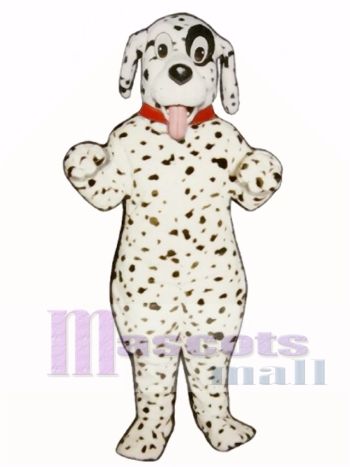 Niedlich Dalmatiner Hund Mit Halsband Maskottchen Kostüm Tier 