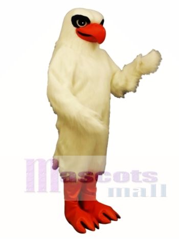 Niedlich Weiß Falke Maskottchen Kostüm