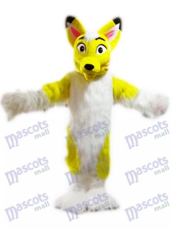 Gelber Husky Hund Fuchs Maskottchen kostüm Karikatur