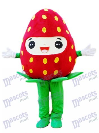 Erdbeer maskottchen-Kostüm Frucht