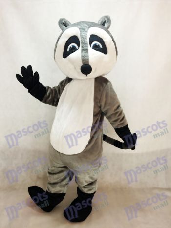 Grau Waschbär Maskottchen Kostüm Tier