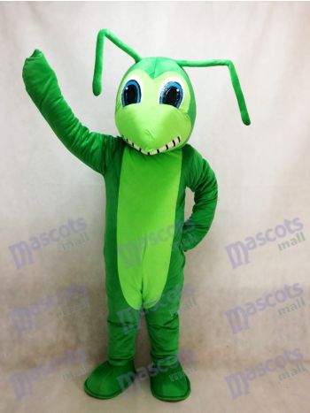 Grasshopper Maskottchen Kostüm Insekt