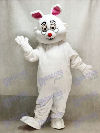 Ostern Alice im Wunderland RABBIT Maskottchen Hase Kostüm Tier