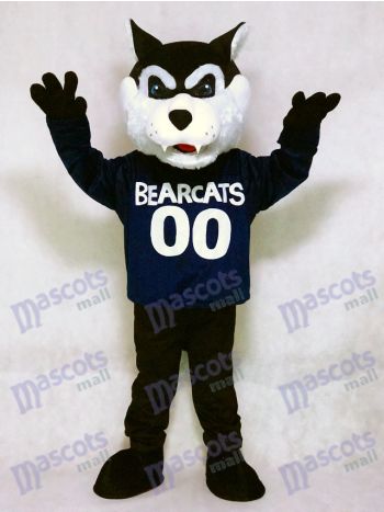 Nettes dunkelblaues Bearcat Maskottchen Kostüm