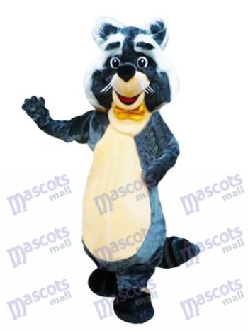 Rocky Waschbär Charakter Maskottchen Kostüm