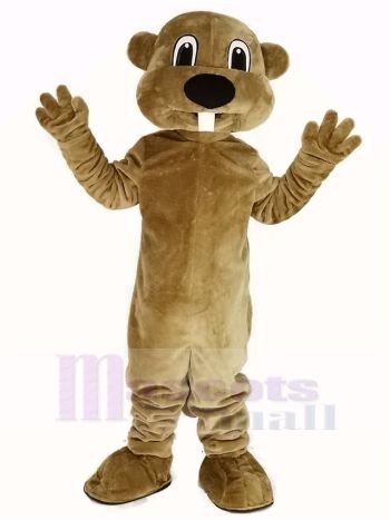 Alex das Biber Maskottchen Kostüm Tier