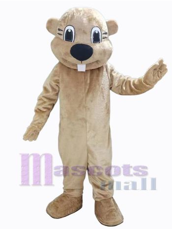 Biber maskottchen kostüm