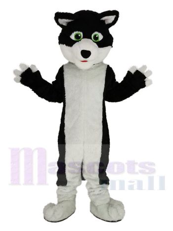 Schwarz und Weiß Rand Collie Hund mit Grün Augen Maskottchen Kostüm