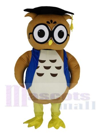 Eule maskottchen kostüm