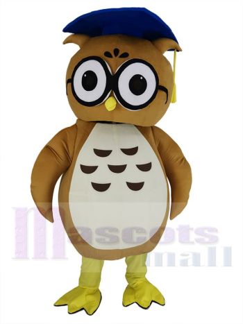 Eule maskottchen kostüm