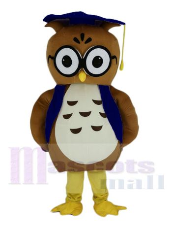 Eule maskottchen kostüm