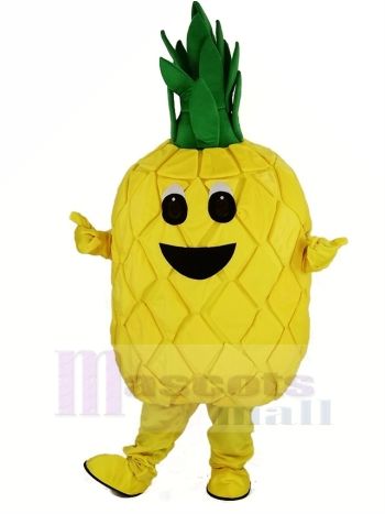 Ananas Obst Maskottchen Kostüm Karikatur