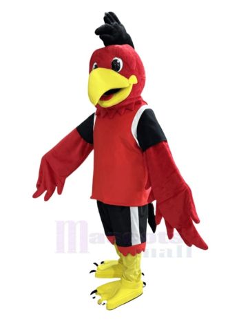 Sport Rot Adler Vogel Maskottchen Kostüm Tier