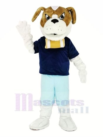 Heilige Bernard Hund mit Blau T-Shirt Maskottchen Kostüm Karikatur