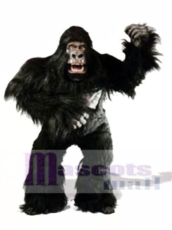 Niedlich Simian Gorilla Maskottchen Kostüm
