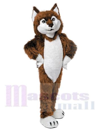 Wolf maskottchen kostüm