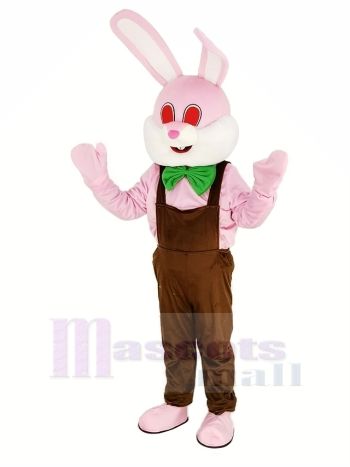 Ostern Rosa Robbie Hase Maskottchen Kostüm