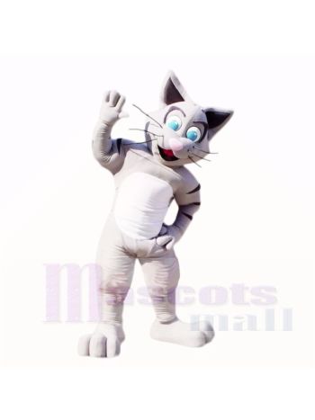 Freundlich Grau Katze Maskottchen Kostüme Karikatur