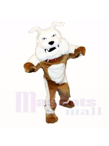 Greenstone Bulldogge Maskottchen Kostüme Erwachsene