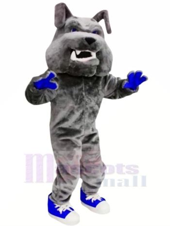 Grau Bulldogge mit Blau Schuhe Maskottchen Kostüme