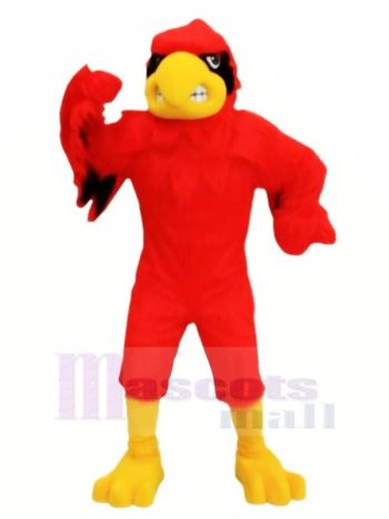 rot Heftig Kardinal Maskottchen Kostüme Karikatur
