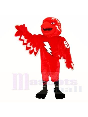 St. John Thunderbird Maskottchen Kostüme Schule