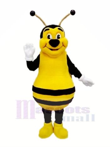 Lächelnd Biene Maskottchen Kostüme Erwachsene