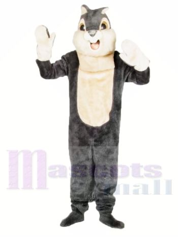 Nettes graues Eichhörnchen Maskottchen Kostüme