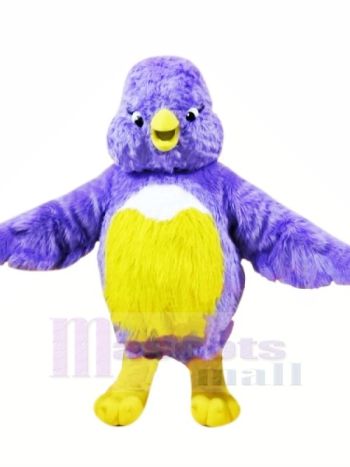 Fett Vogel mit Klein Augen Maskottchen Kostüme Tier