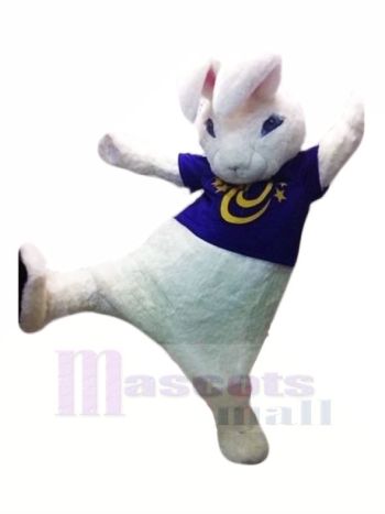 Hoch Qualität Weiß Hase Maskottchen Kostüme