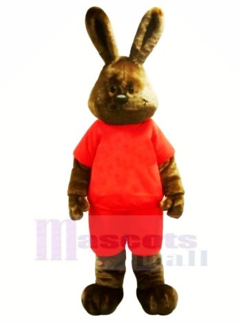 glücklich Braun Hase Maskottchen Kostüme Erwachsene