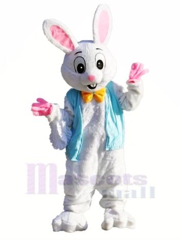 Plüsch Ostern Hase Maskottchen Kostüme Tier