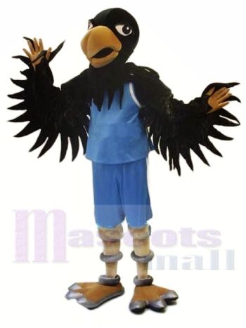 Hochschule Basketball Schwarze Krähe Maskottchen Kostüm