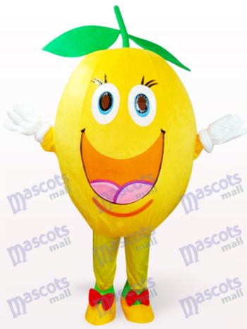 Frucht Orange Plüsch Maskottchen Kostüm