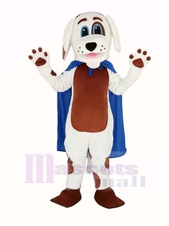 Weiß Hund Braun Bauch im Blau Kap Maskottchen Kostüm