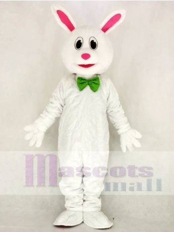 Komisch Ostern Hase Maskottchen Kostüm Schule