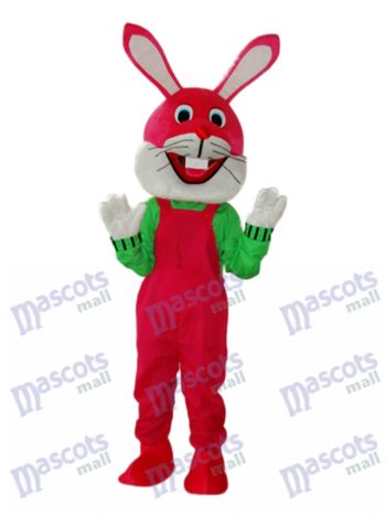 Ostern Etikette Kaninchen Maskottchen Erwachsene Kostüm Tier