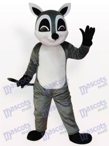 Waschbär Tier erwachsenes Maskottchen lustiges Kostüm