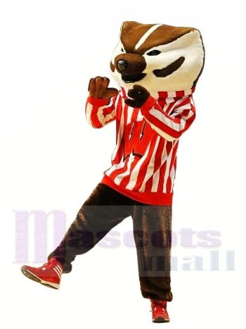 Wisconsin Dachs Maskottchen Kostüm