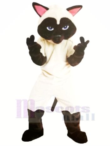 Lustig Ausfall Siamese Katze Maskottchen Kostüme Karikatur