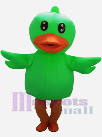 Ente maskottchen kostüm