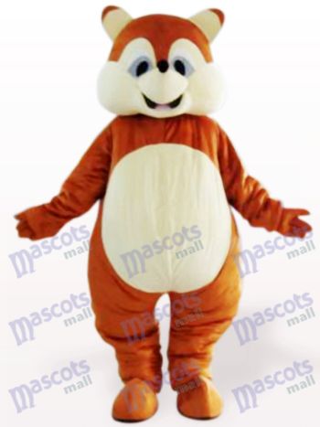 Eichhörnchen Tier Maskottchen Kostüm