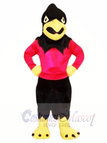 Sport Schwarz Falke Maskottchen Kostüme Tier