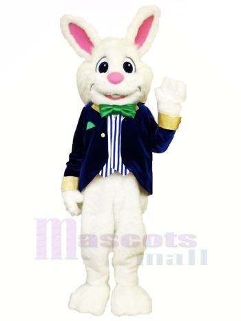 Hoch Qualität Ostern Hase Maskottchen Kostüme Erwachsene