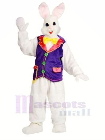 Hase mit lila Weste Maskottchen Kostüme Hase  Tier