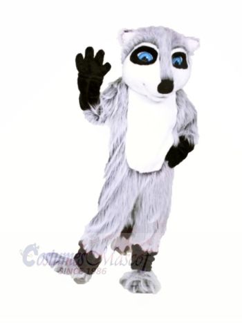 Qualität Waschbär Maskottchen Kostüme Karikatur