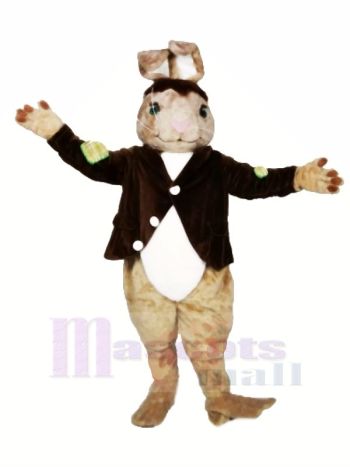 Hoch Qualität Braun Hase Maskottchen Kostüme Erwachsene